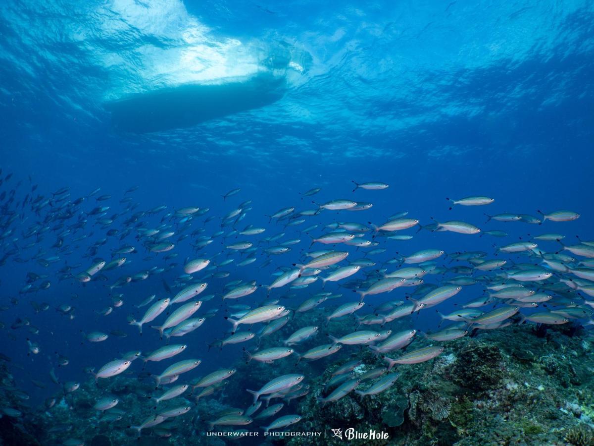 藍洞潛水blue Hole Dive Center Acomodação com café da manhã Heng-ch'un Exterior foto